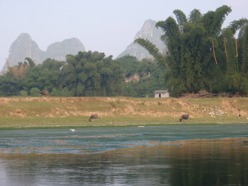 River Boat View.